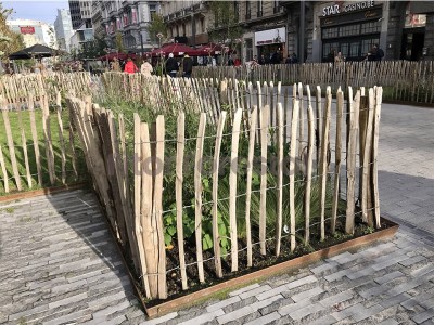 5. Palizada de avellano para ajardinamiento